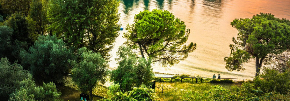 Riva del Lago di Garda vista dall'alto tra pini e ulivi